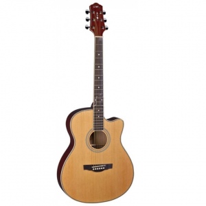 Naranda TG220CNA Акустическая гитара.