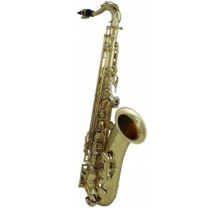 ROY BENSON TS-202 Bb-тенор-саксофон, золотой, лаки