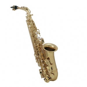 ROY BENSON AS-202 альт-саксофон Eb, золотой, лакированный