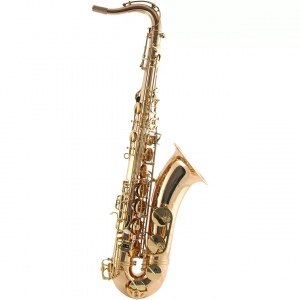 Trevor James SR 384SR-ZK тенор-саксофон с корпусом из бронзы